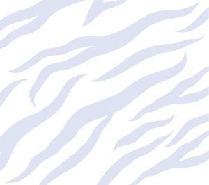 Hintergrund_MyFamily_Webseite_Streifen_blau